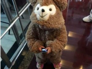 Costume bébé ours brun pour l'hiver - Plusieurs tailles au choix !